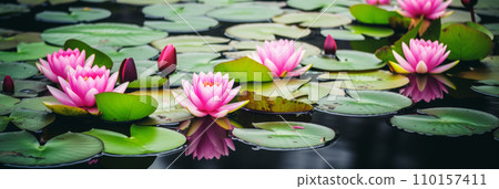 Beautiful pink water lily flower. Zen is about beautiful natural surroundings, high spirituality, compassion, and enlightenment. banner. AI generated image 110157411