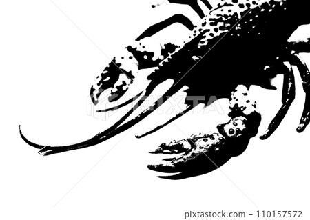 silhouette of lobster shrimp isolated on white background, invertebrate animal 110157572