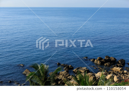 Palm tree leaves and sea wave surface Palm tree leaves and sea wave surface 110158054