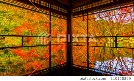 Upside down autumn leaves that shine in autumn (Rurikoin Temple, Kyoto) 110158299
