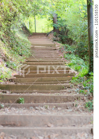 登山道（木樓梯） 110158530