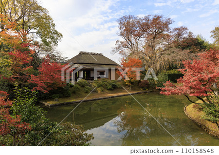 Japanese garden that shines in autumn leaves (Kyoto Katsura Imperial Villa) 110158548