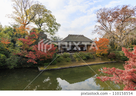 Japanese garden that shines in autumn leaves (Kyoto Katsura Imperial Villa) Japanese garden that shines in autumn leaves (Kyoto Katsura Imperial Villa) 110158554