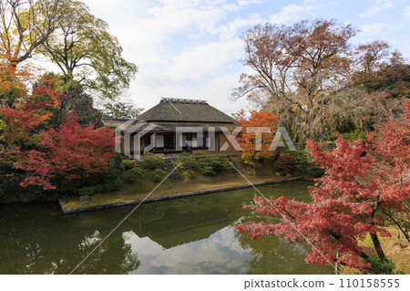 映照著秋葉的日本庭園(京都桂浦裡久) 映照著秋葉的日本庭園(京都桂浦裡久) 110158555