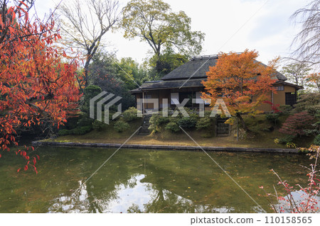 映照著秋葉的日本庭園（京都桂浦裡久） 110158565