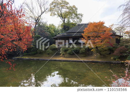 映照著秋葉的日本庭園（京都桂浦裡久） 110158566