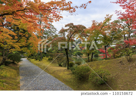 Japanese garden that shines in autumn leaves (Kyoto Katsura Imperial Villa) 110158672