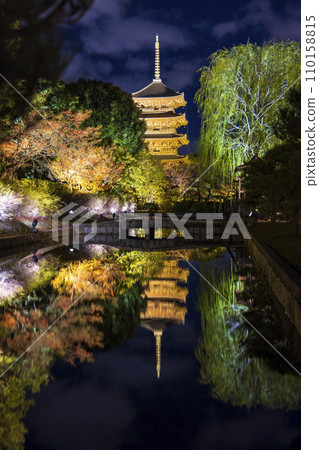Autumn leaves season night illumination (Kyoto Toji Temple) 110158815