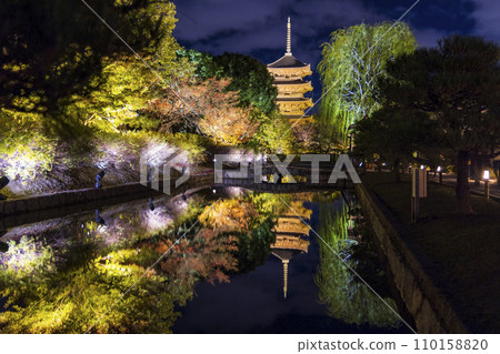 Autumn leaves season night illumination (Kyoto Toji Temple) 110158820