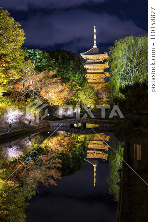 Autumn leaves season night illumination (Kyoto Toji Temple) 110158827