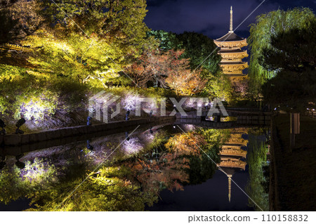 Autumn leaves season night illumination (Kyoto Toji Temple) 110158832