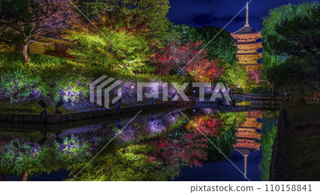 Autumn leaves season night illumination (Kyoto Toji Temple) Autumn leaves season night illumination (Kyoto Toji Temple) 110158841