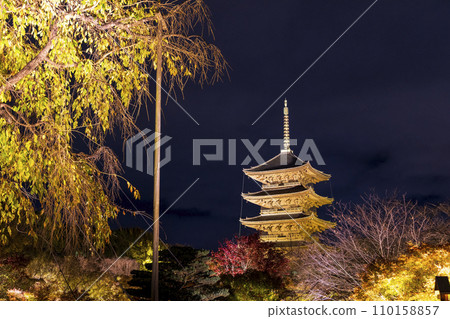 Autumn leaves season night illumination (Kyoto Toji Temple) 110158857