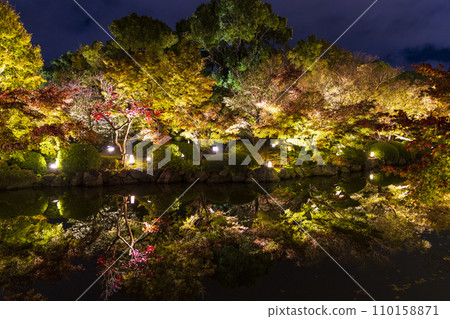 Autumn leaves season night illumination (Kyoto Toji Temple) 110158871