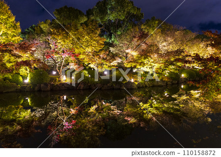 Autumn leaves season night illumination (Kyoto Toji Temple) Autumn leaves season night illumination (Kyoto Toji Temple) 110158872
