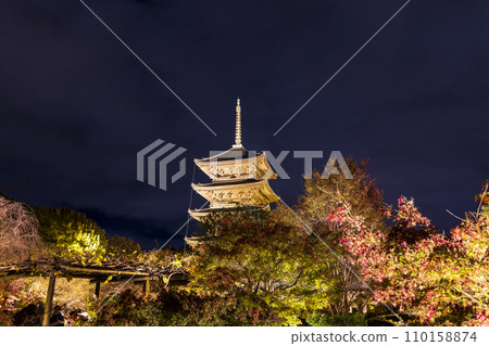 Autumn leaves season night illumination (Kyoto Toji Temple) 110158874