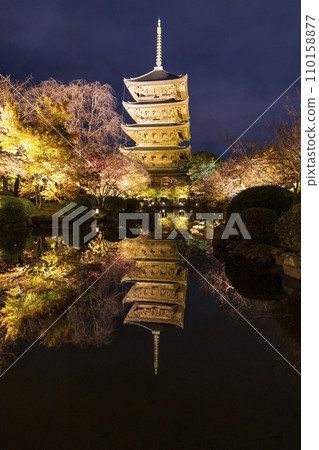 Autumn leaves season night illumination (Kyoto Toji Temple) 110158877