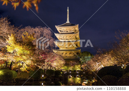 紅葉季夜間彩燈（京都東寺） 110158888
