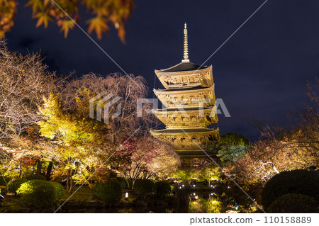 紅葉季夜間彩燈(京都東寺) 紅葉季夜間彩燈(京都東寺) 110158889
