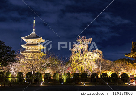 Autumn leaves season night illumination (Kyoto Toji Temple) 110158906