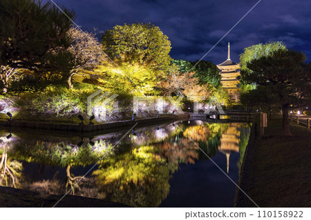 Autumn leaves season night illumination (Kyoto Toji Temple) Autumn leaves season night illumination (Kyoto Toji Temple) 110158922