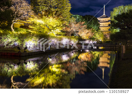 Autumn leaves season night illumination (Kyoto Toji Temple) 110158927