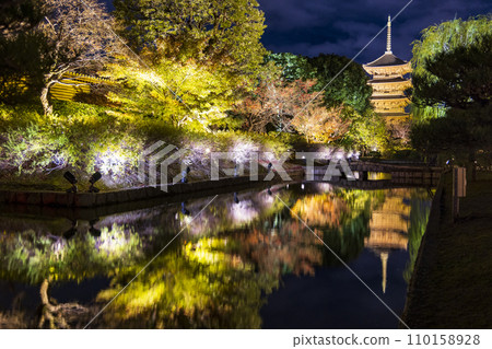 Autumn leaves season night illumination (Kyoto Toji Temple) Autumn leaves season night illumination (Kyoto Toji Temple) 110158928