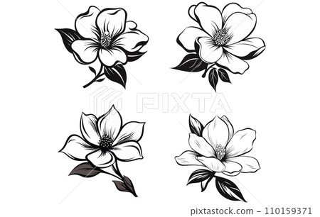 Flowers bloom silhouette, bloom flowers vector illustration 110159371