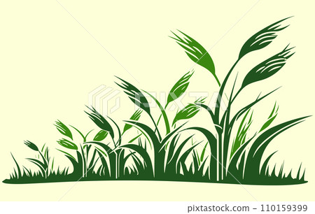 Corn plantation. Vector illustration of sweet corn sprouting in field Corn plantation. Vector illustration of sweet corn sprouting in field 110159399