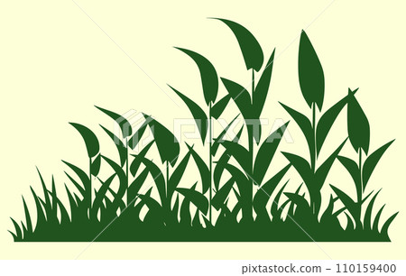 Corn plantation. Vector illustration of sweet corn sprouting in field Corn plantation. Vector illustration of sweet corn sprouting in field 110159400