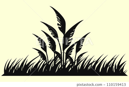 Corn plantation. Vector illustration of sweet corn sprouting in field 110159413