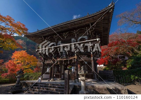 京都的秋葉,神社寺廟都被秋葉覆蓋 京都的秋葉,神社寺廟都被秋葉覆蓋 110160124