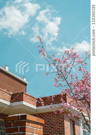Spring flower and house at Jinhae Gunhangje Festival in Changwon, Korea 110160185