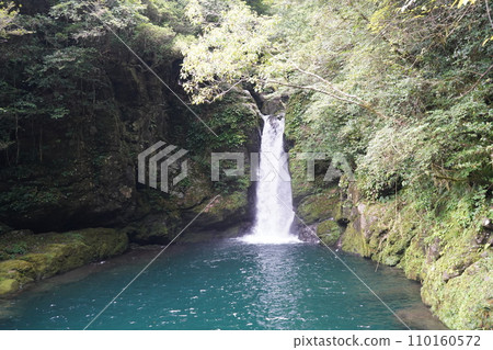 Nikofuchi Nikofuchi 110160572