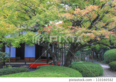 秋天的松風園 秋天的松風園 110160582