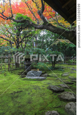 秋天的松風園 秋天的松風園 110160599