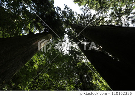 Mt. Tsukuba mountain trail in Ibaraki Prefecture in September 2023 Mt. Tsukuba mountain trail in Ibaraki Prefecture in September 2023 110162336