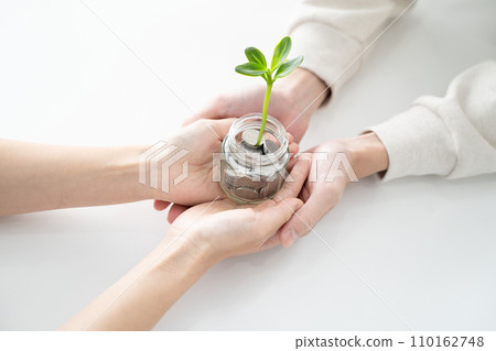 Asset management concept where sprouts grow from a pile of coins Asset management concept where sprouts grow from a pile of coins 110162748