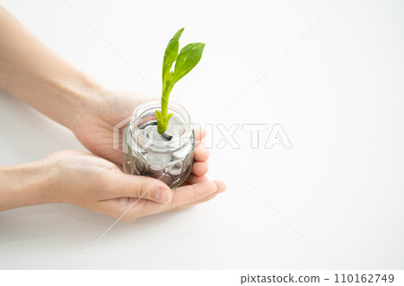 Asset management concept where sprouts grow from a pile of coins Asset management concept where sprouts grow from a pile of coins 110162749