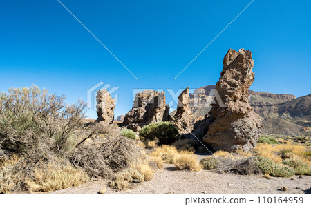 Teide nature reserve 110164959