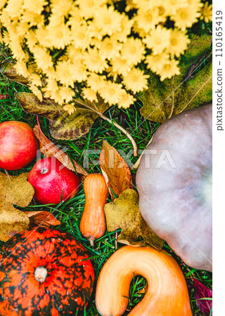 autumn harvest still life with yellow Chrysanthemum flower bunch. autumn harvest still life with yellow Chrysanthemum flower bunch. 110165419