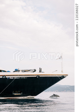 Dolphin swims in the sea near the bow of a ship against the backdrop of mountains 110166027