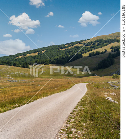 Summer mountain Durmitor National Park, Montenegro 110166189