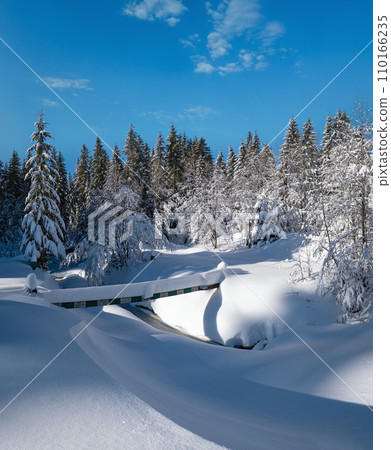 Alpine mountain snowy winter fir forest with snowdrifts and frozen small stream Alpine mountain snowy winter fir forest with snowdrifts and frozen small stream 110166235
