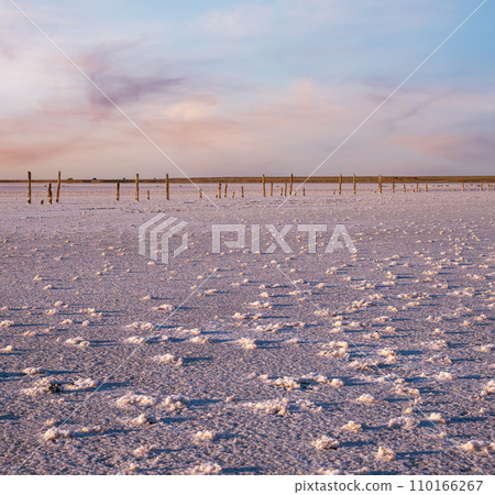Sunset Genichesk pink  salty lake, Ukraine 110166267