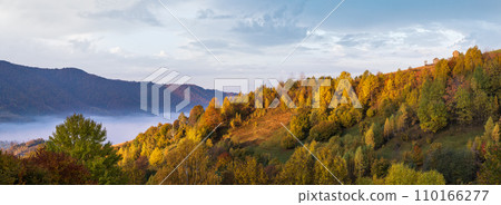 Foggy early morning autumn mountains scene. Peaceful picturesque traveling, seasonal, nature and countryside beauty concept scene. Carpathian Mountains, Ukraine. 110166277