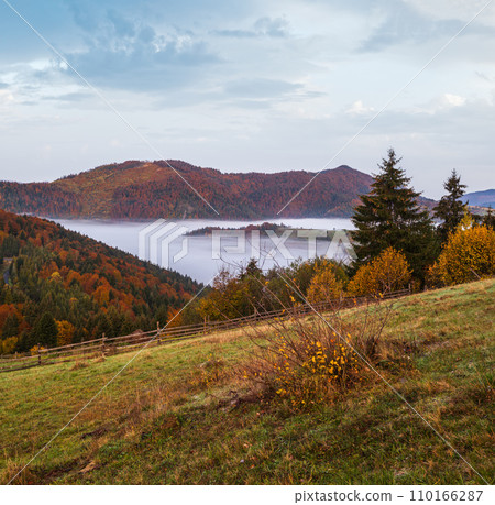 Foggy early morning autumn mountains scene. Peaceful picturesque traveling, seasonal, nature and countryside beauty concept scene. Carpathian Mountains, Ukraine. 110166287