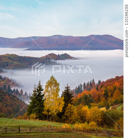 Cloudy and foggy autumn mountain early morning pre sunrise scene. Ukraine, Carpathian Mountains, Transcarpathia. 110166288