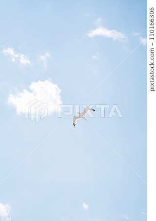 White seagull soars in the cloudy sky 110166306