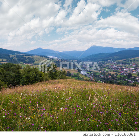Picturesque summer Carpathian mountain countryside meadows. with beautiful wild flowers 110166361